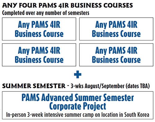 4IR Advanced Certification Structure