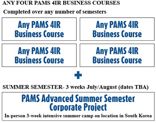 4IR Advanced Certification Structure