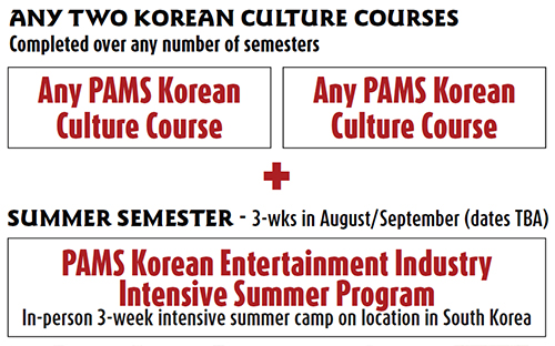 Korean Entertainment Industry Advanced Certification Structure