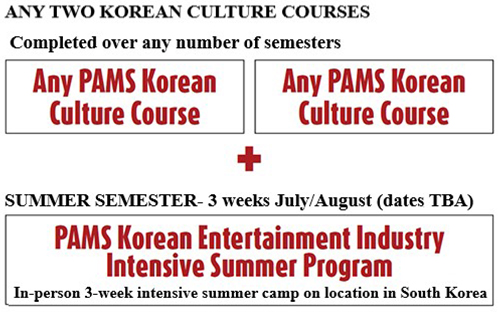 Korean Entertainment Industry Advanced Certification Structure